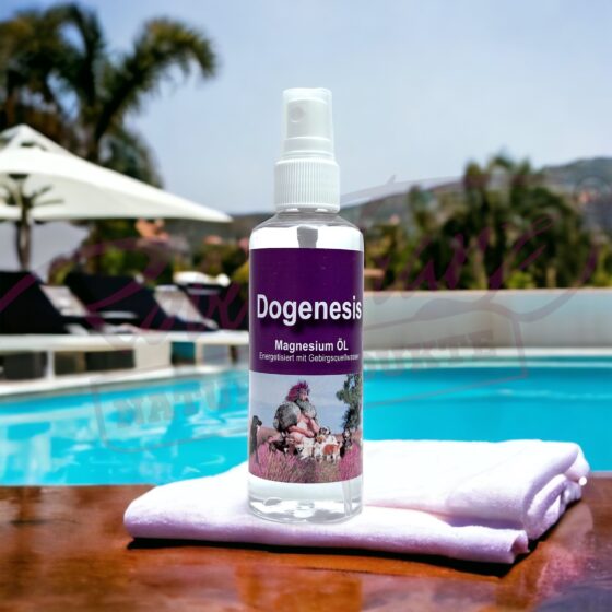 Alternative view of Magnesium Öl Spray