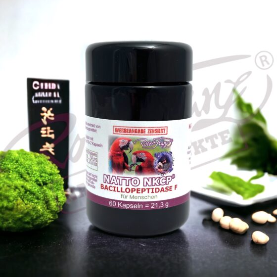 Alternative view of Natto NKCP®Kapseln